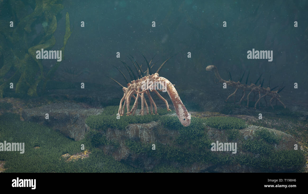 Hallucigenia, gruppo di età preistorica animali acquatici dal periodo Cambriano (3d paleoart illustrazione) Foto Stock