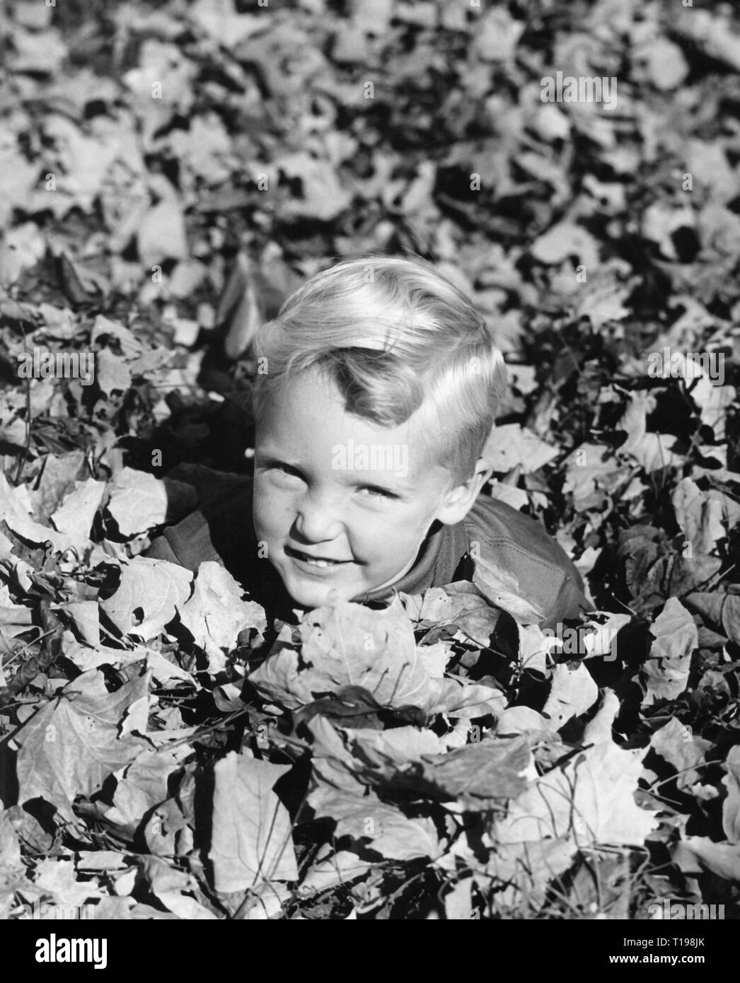 Persone, bambini, ritratto - ragazzi, sorridente ragazzo in foglie di autunno, sessanta, Additional-Rights-Clearance-Info-Not-Available Foto Stock