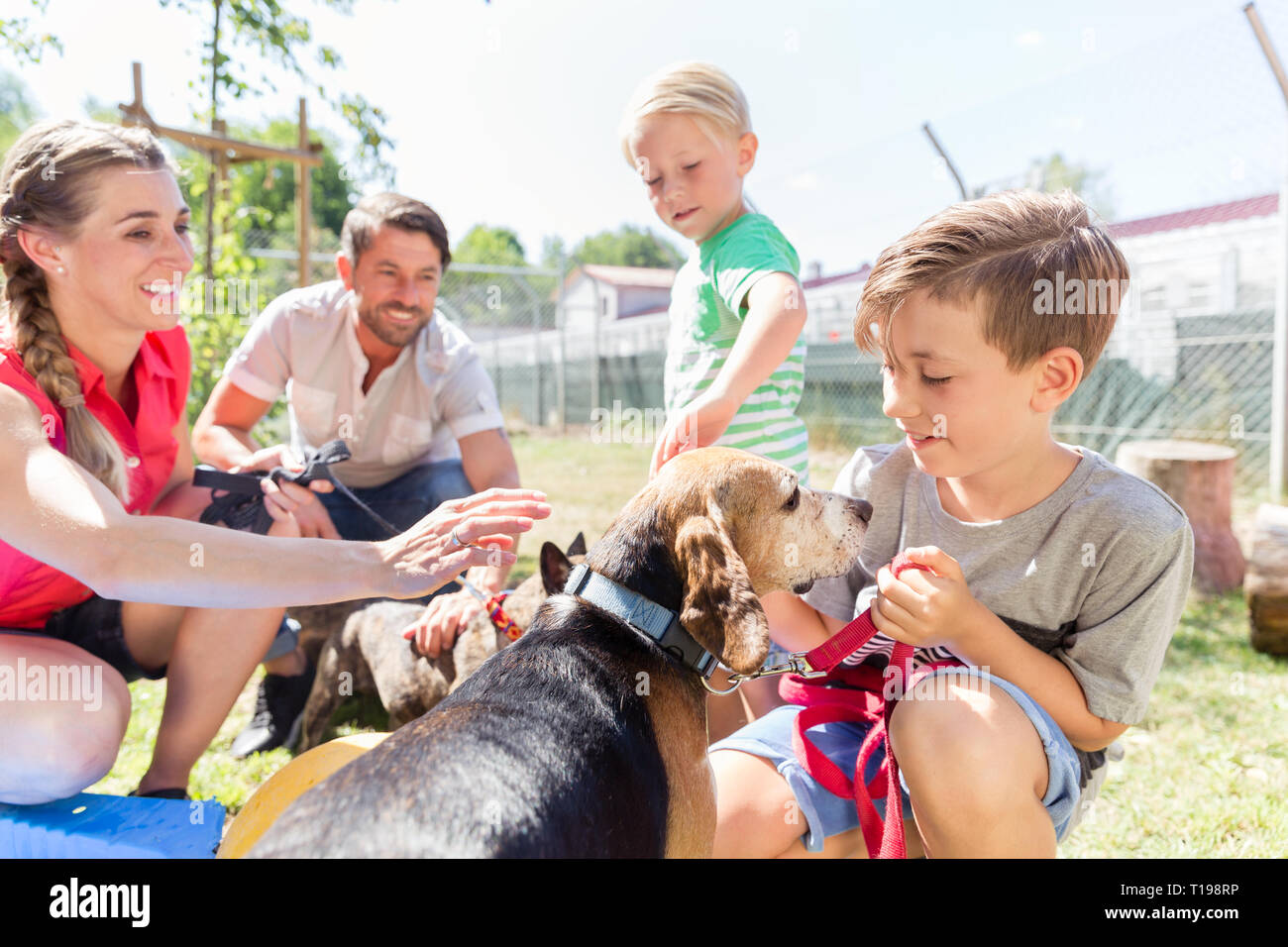 Famiglia portando a casa un cane dal ricovero degli animali Foto Stock