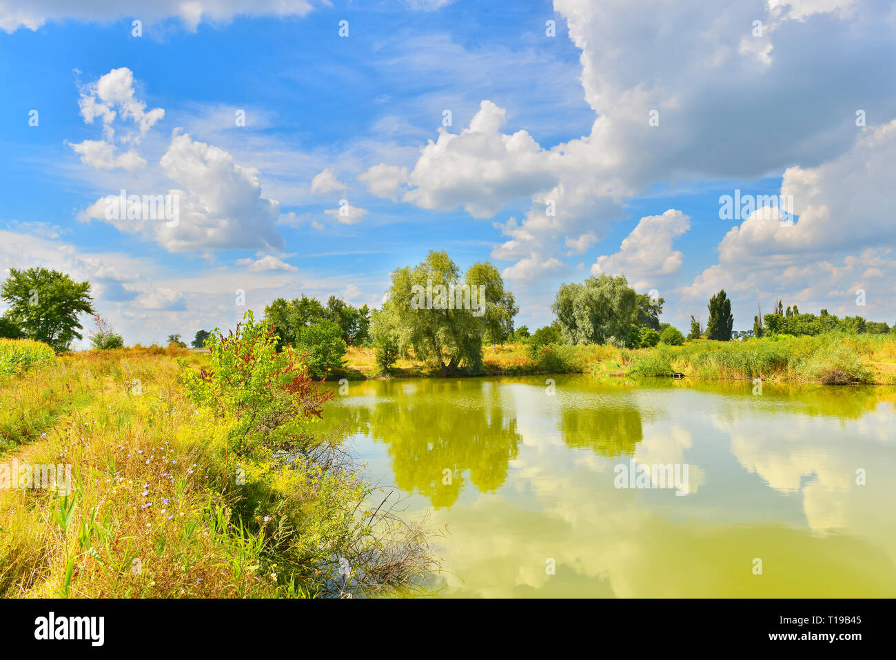 Il pittoresco lago nel paese d'estate. .Vista di stagno con bella estate nuvole. Foto Stock
