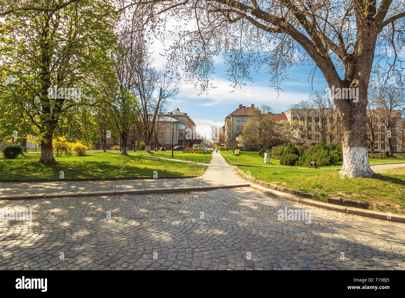 Paesaggio urbano in primavera. bellissimo parco con stradine pavimentate. ubicazione narodna square, uzhgorod, ucraina. Foto Stock