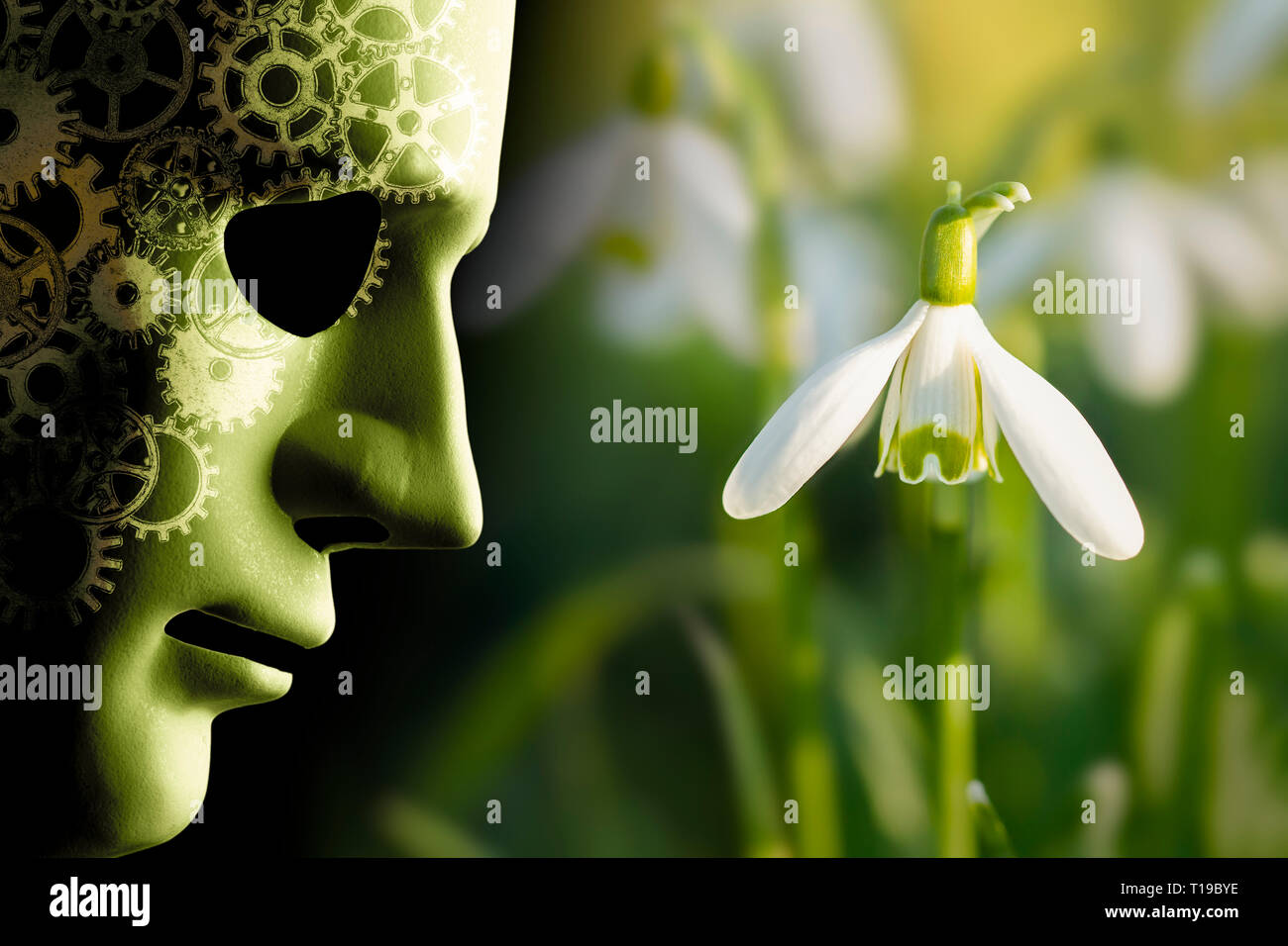 Lavorando in armonia con il concetto di natura robotica con maschera facciale e cervello denti accanto a un delicato snowdrop fiore in giardino Foto Stock