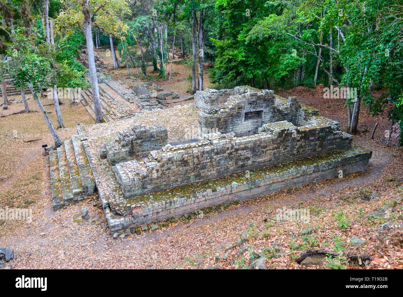 Famosa in tutto il mondo Copan rovine sito archeologico dell'antica civiltà Maya, un sito Patrimonio Mondiale dell'UNESCO in Honduras vicino al confine del Guatemala Foto Stock