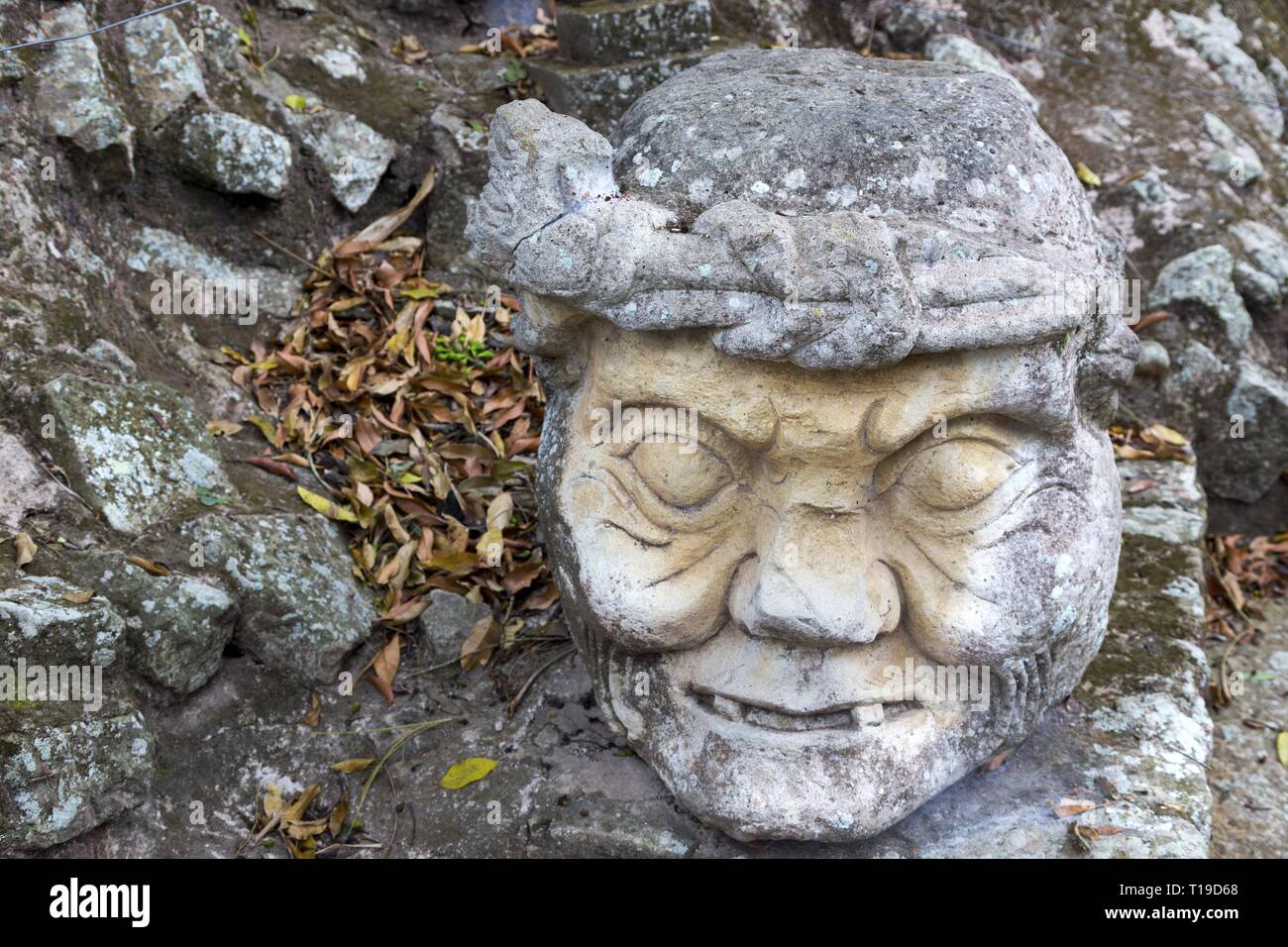 Il vecchio uomo testa scolpita in pietra nel mondo famose rovine Copan sito archeologico dell'antica civiltà Maya, un sito Patrimonio Mondiale dell'UNESCO in Honduras Foto Stock