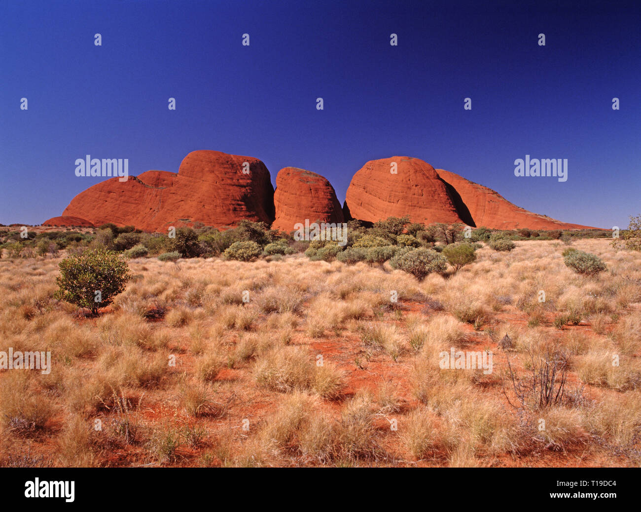Australia. Territorio del Nord. Alice Springs regione. Il Kata Tjuta (Mount Olga) (l'Olgas). Foto Stock