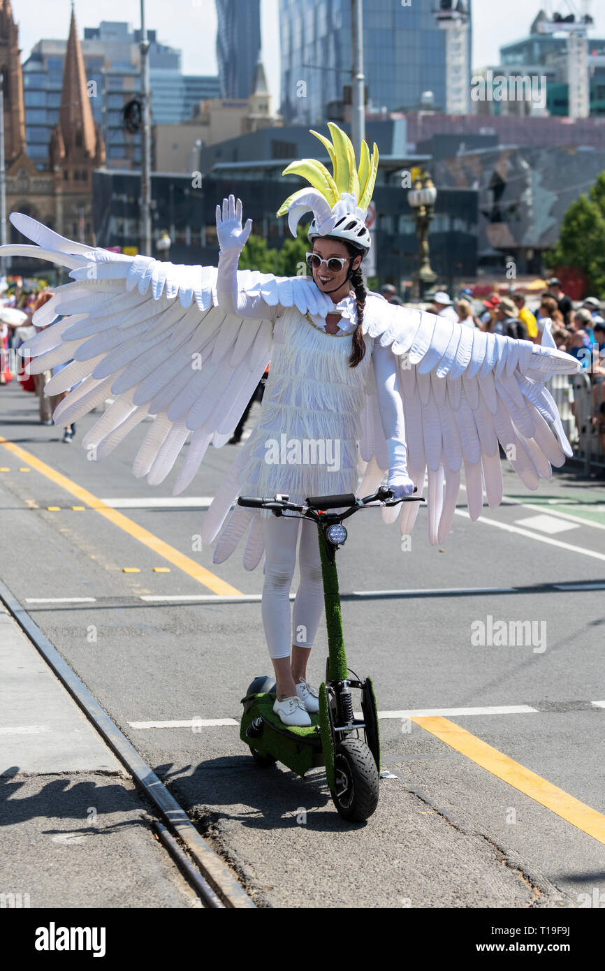 Una Donna vestita come zolfo crested cacatua su uno scooter prende parte a Melbourne in Australia della parata del giorno. Foto Stock