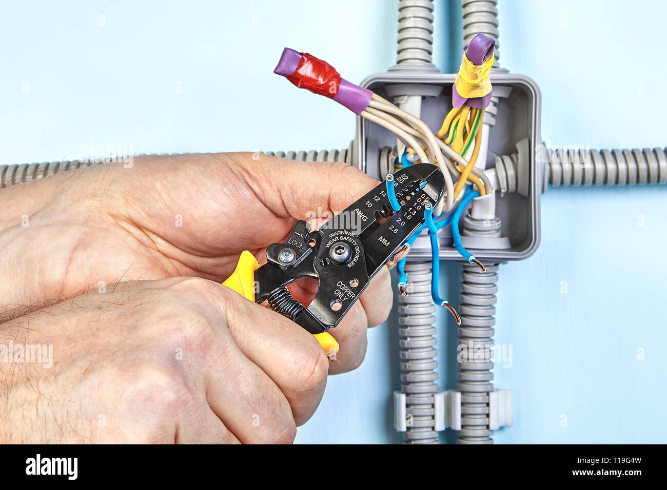 Elettrici Servizi di installazione, elettricista utilizza la spelafili per  rimuovere di isolamento dalla punta di ciascuno dei fili Foto stock - Alamy