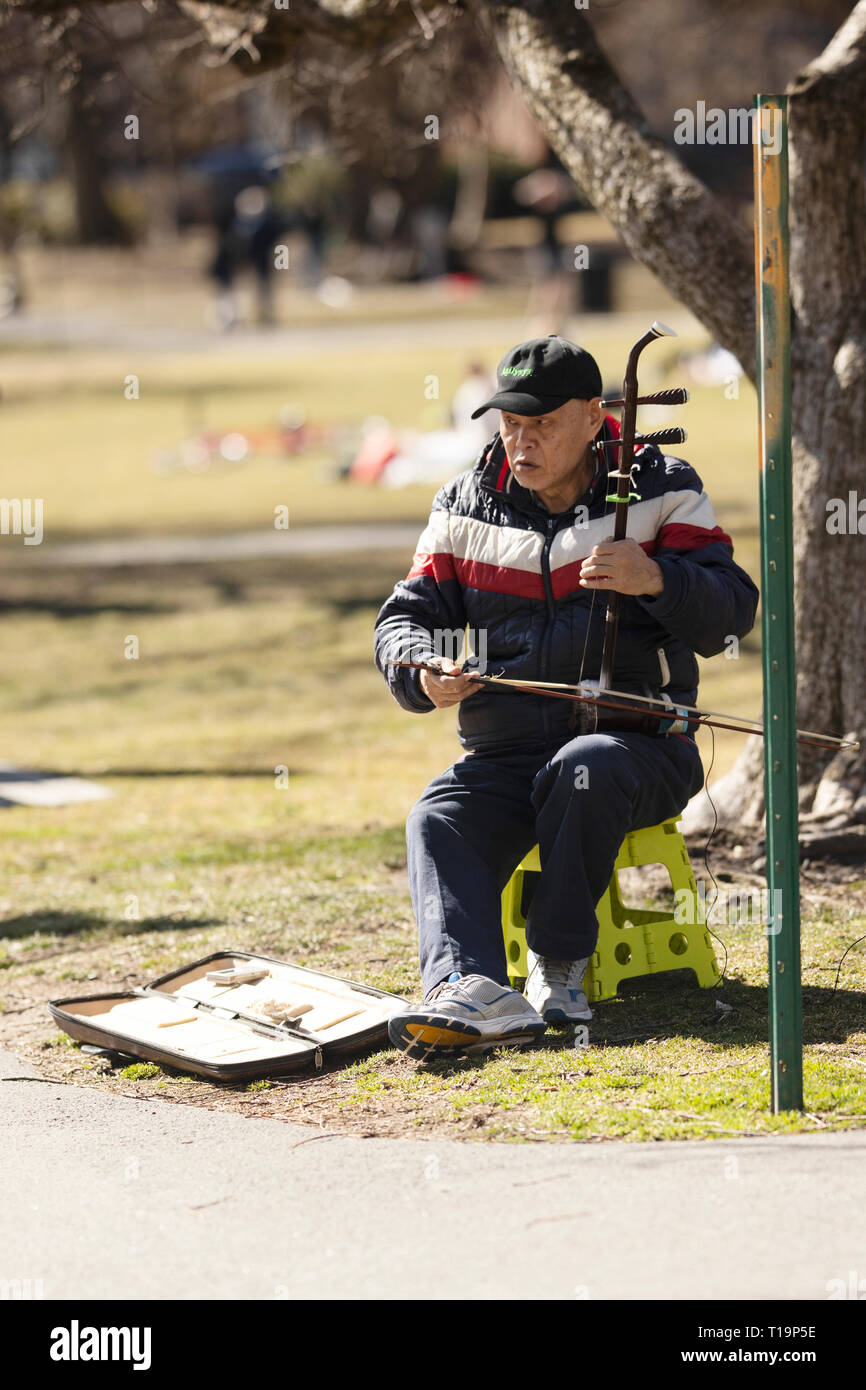 Un uomo la riproduzione del erhu (cinese tradizionale spike fiddle) in Boston Public Garden, Boston, Massachusetts. Foto Stock