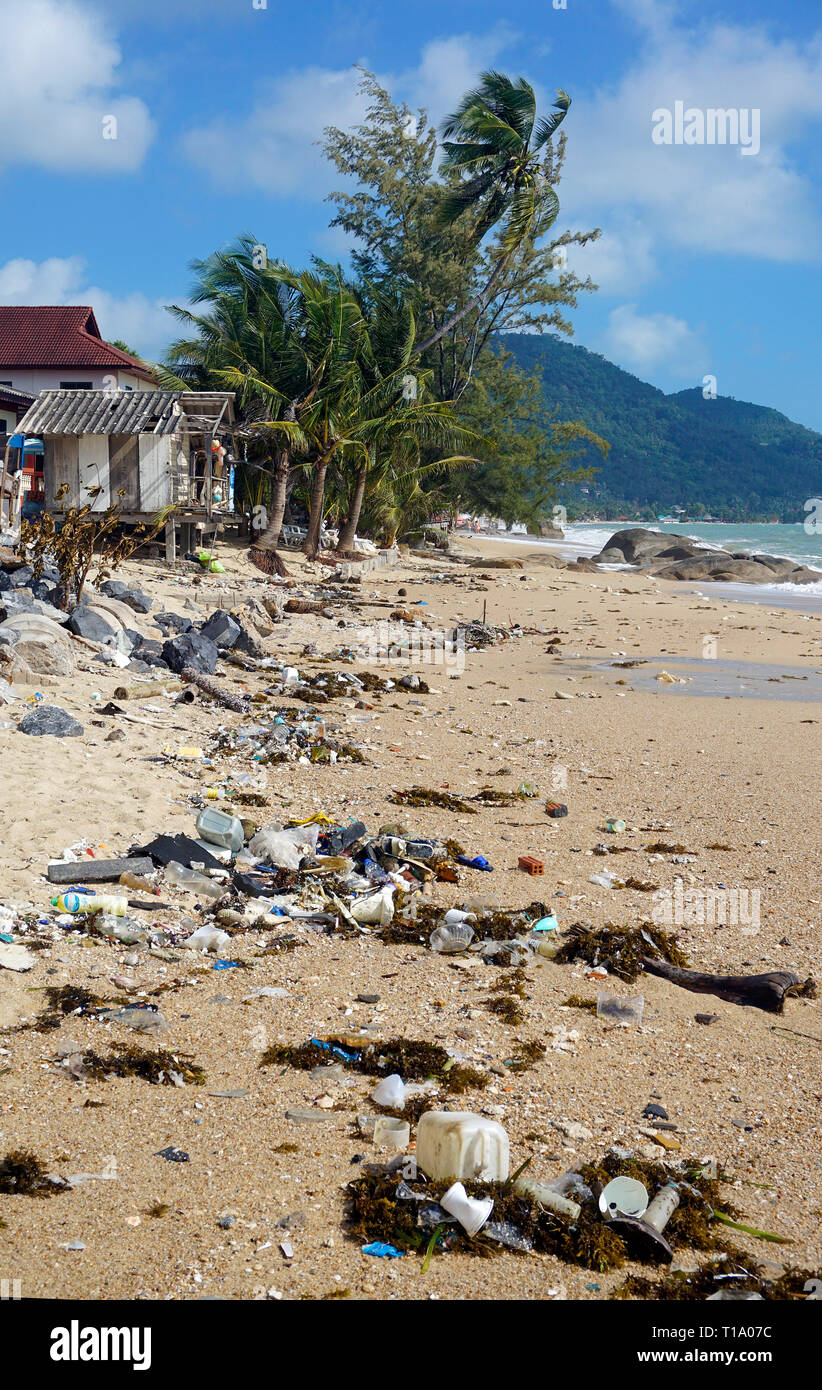Spiaggia di inquinamento, lavato fino flotsam dopo la tempesta tropicale 'Pabuk', Lamai Beach, Koh Samui, Golfo di Thailandia, Tailandia Foto Stock