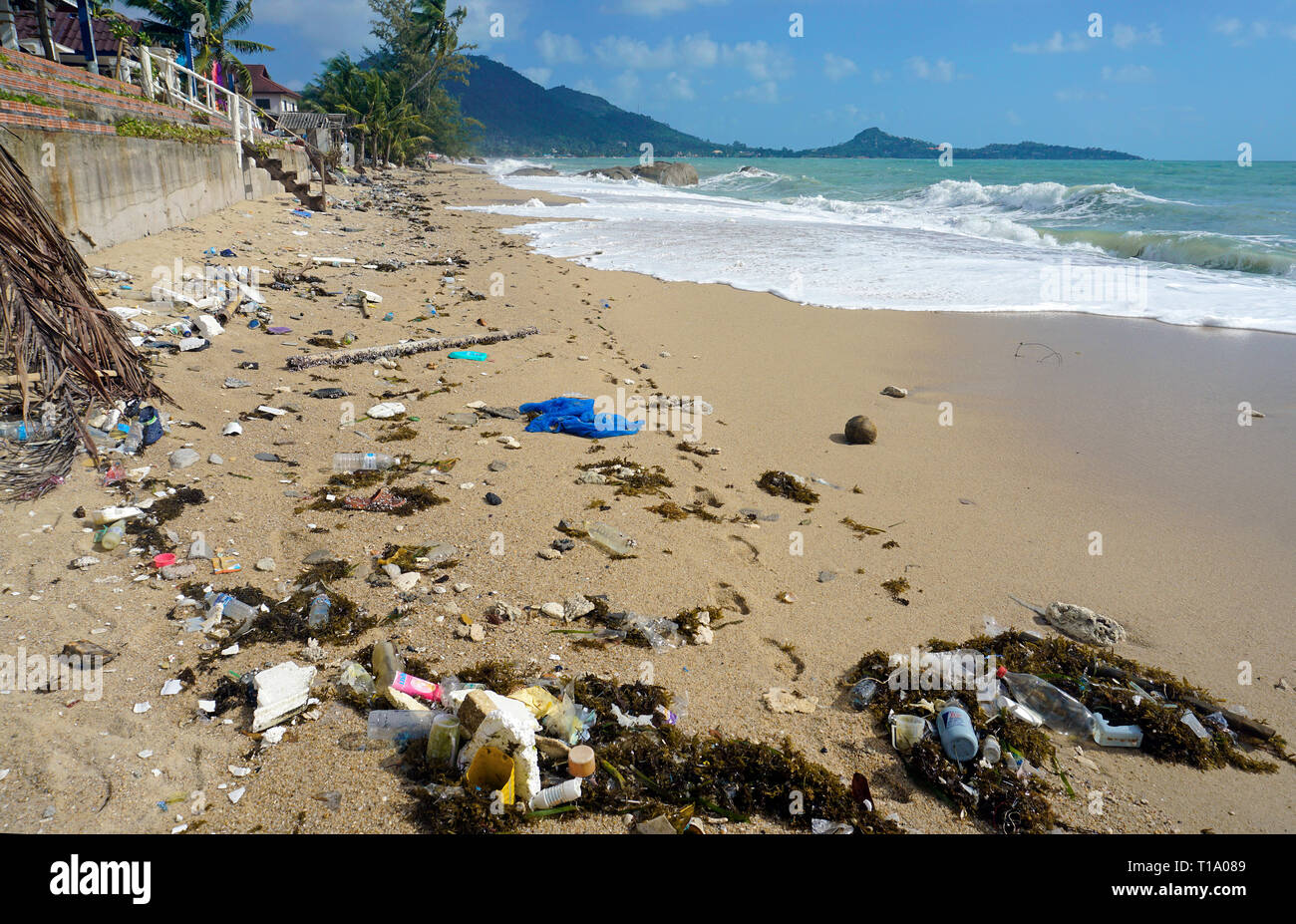 Spiaggia di inquinamento, lavato fino flotsam dopo la tempesta tropicale 'Pabuk', Lamai Beach, Koh Samui, Golfo di Thailandia, Tailandia Foto Stock