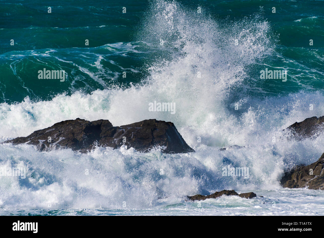 Onde che si infrangono contro le rocce in mare. Foto Stock
