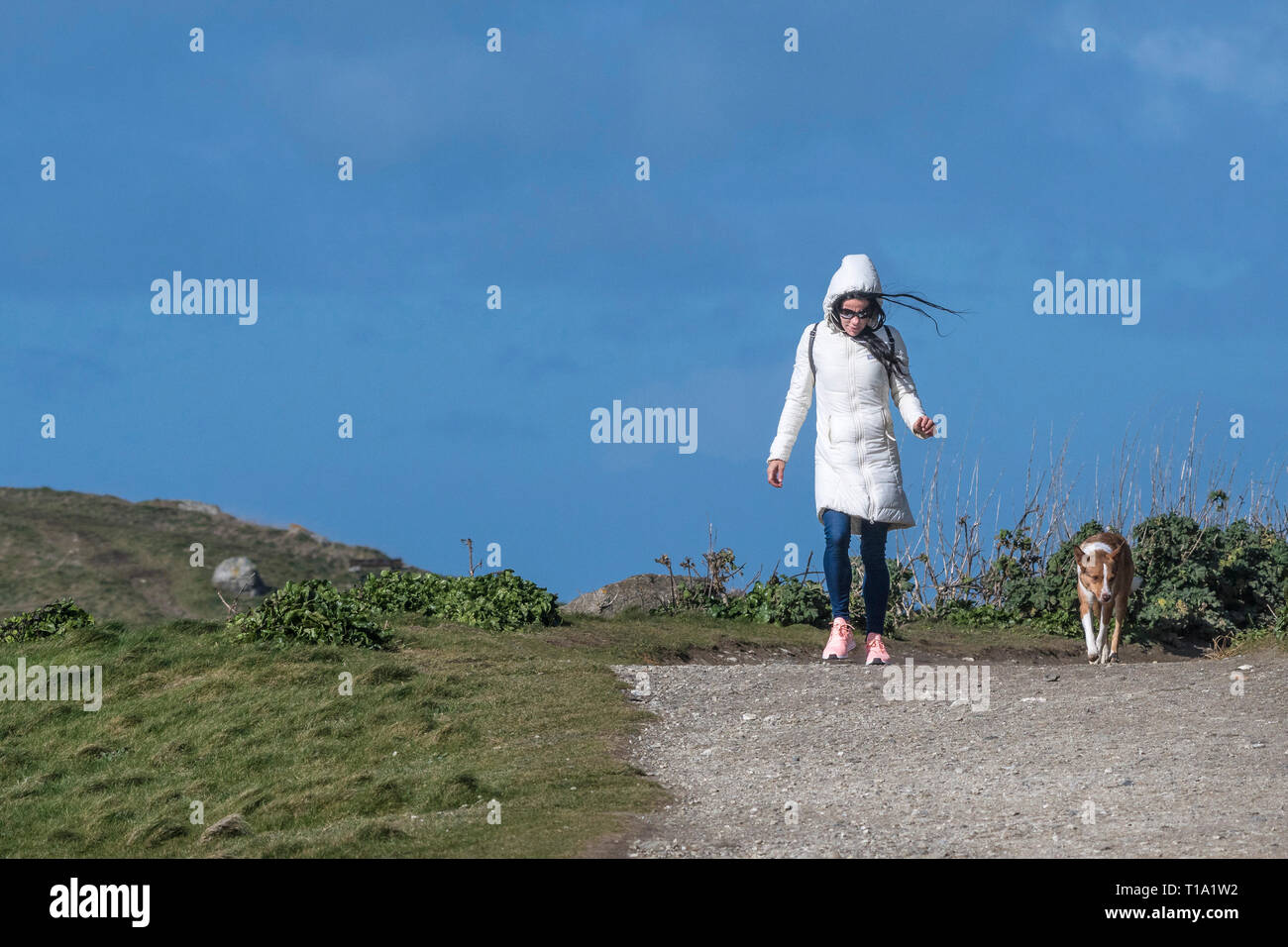Una donna che cammina il suo cane in una giornata di vento. Foto Stock