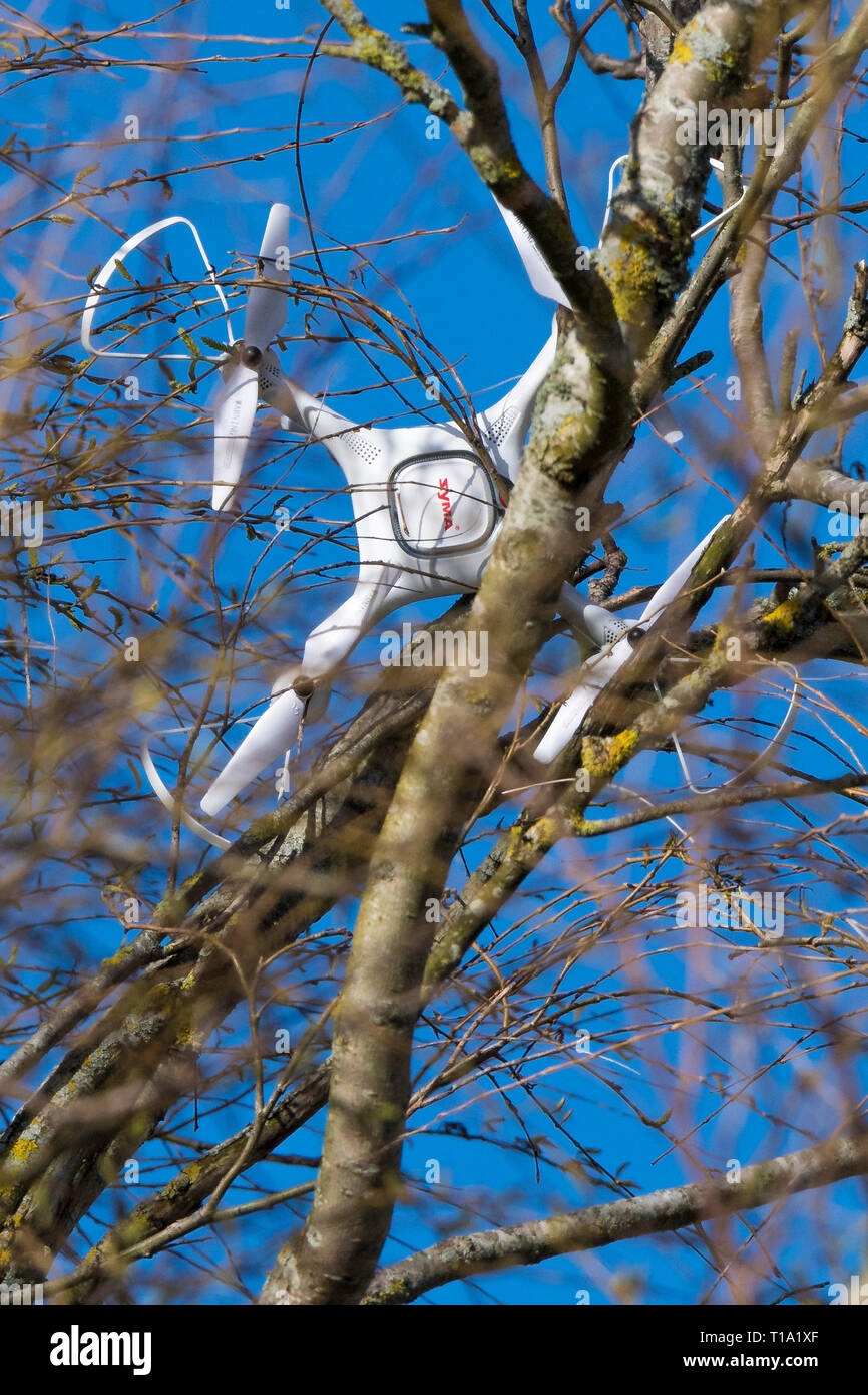 Un Syma Drone Quadcopter schiantato i rami di un albero. Foto Stock