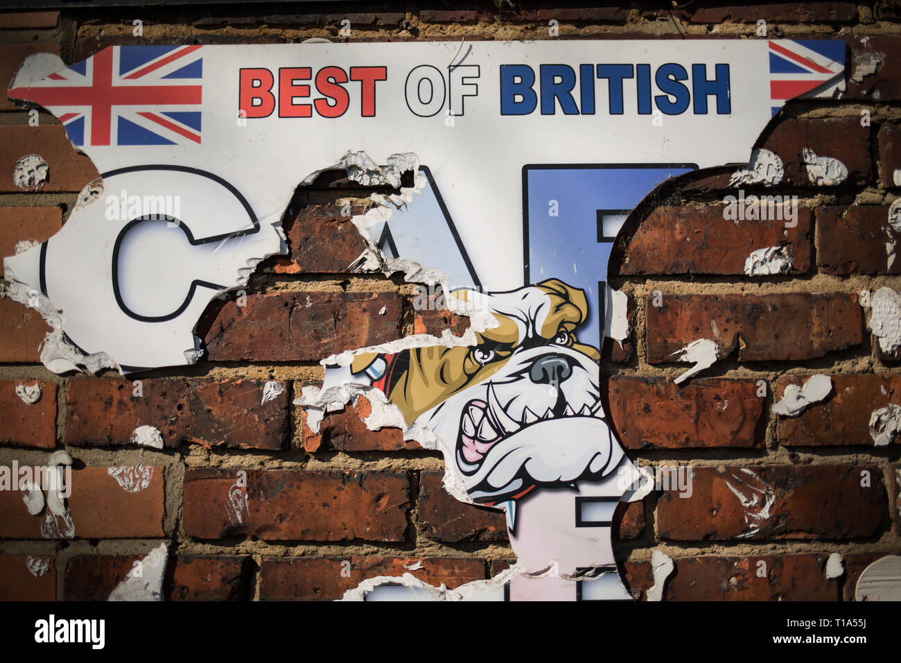 Best of British bulldog, in Newcastle, Inghilterra, il 24 marzo 2019. Foto Stock