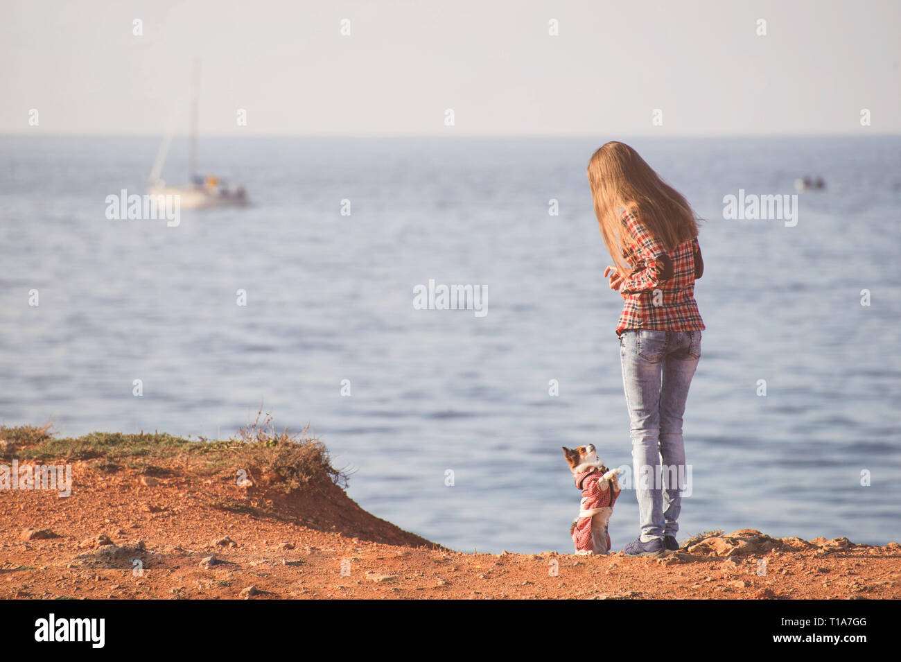 Slim active ragazza giovane formazione chihuahua piccolo cane di sedersi sulla riva del mare con barca a vela Foto Stock