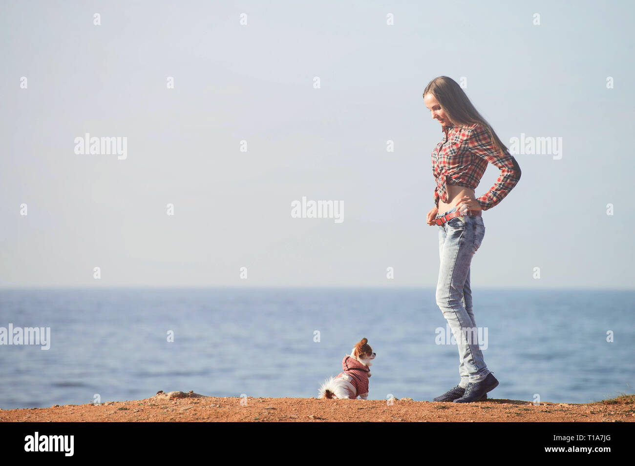 Sottile bella ragazza in plaid shirt e jeans sulla riva del mare con un piccolo chihuahua cane con spazio di copia Foto Stock