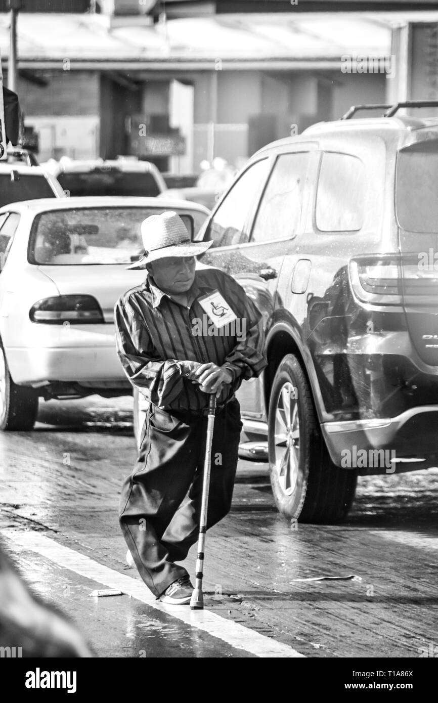 I produttori vendono i vari tipi di cibo, arte popolare e knock off presso il San Ysidro border crossing, attraversando negli Stati Uniti dal Messico. Foto Stock