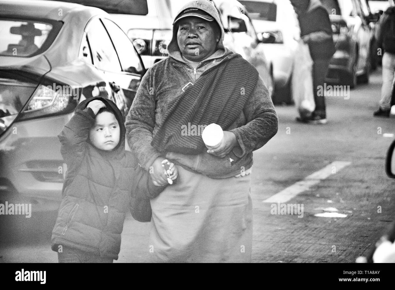 I produttori vendono i vari tipi di cibo, arte popolare e knock off presso il San Ysidro border crossing, attraversando negli Stati Uniti dal Messico. Foto Stock