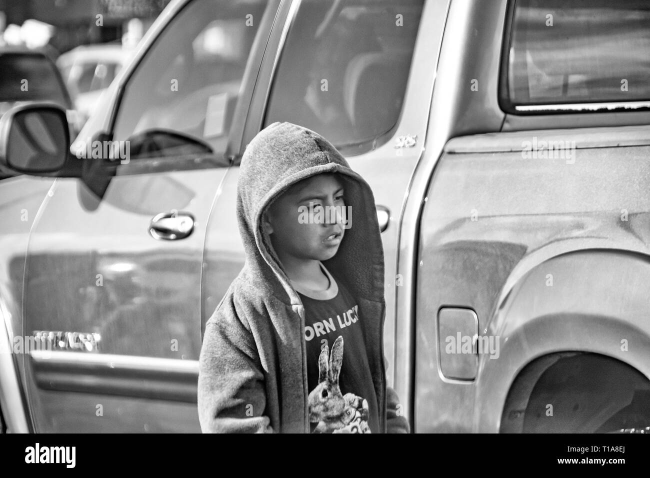 I produttori vendono i vari tipi di cibo, arte popolare e knock off presso il San Ysidro border crossing, attraversando negli Stati Uniti dal Messico. Foto Stock