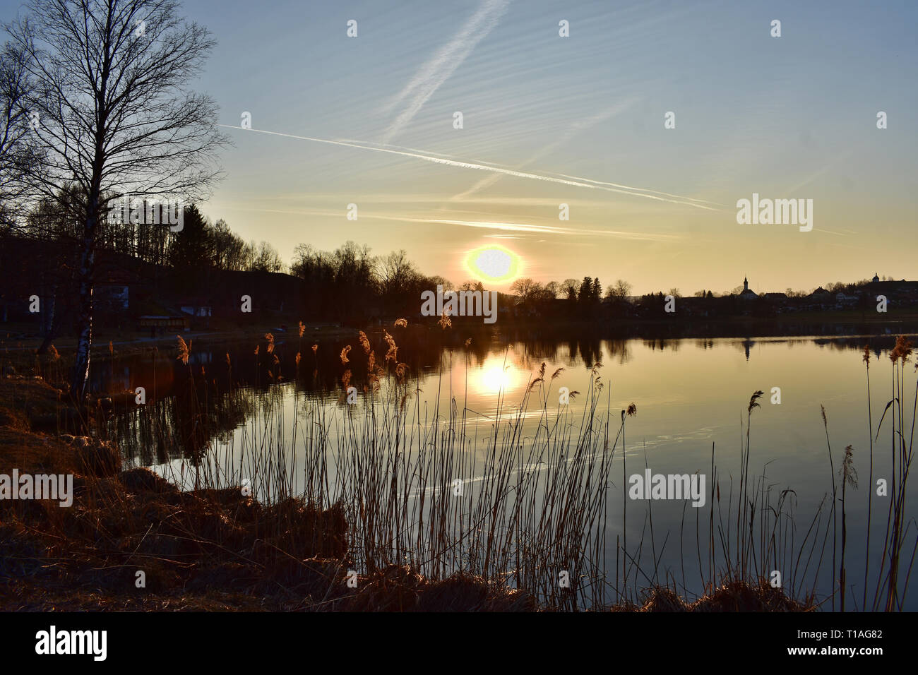 Lago bavarese nell'ora d'oro. Gli ultimi raggi di sole brillano trogolo reed a riva. Foto Stock
