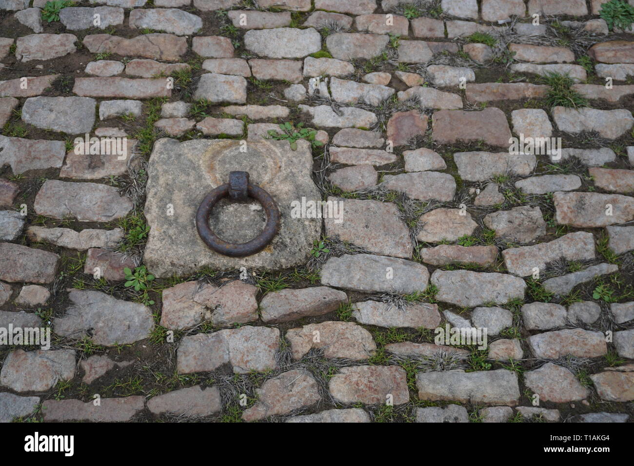 Verde erba che cresce in tra il vecchio acciottolato con un pezzo di metallo per ormeggio barche Foto Stock