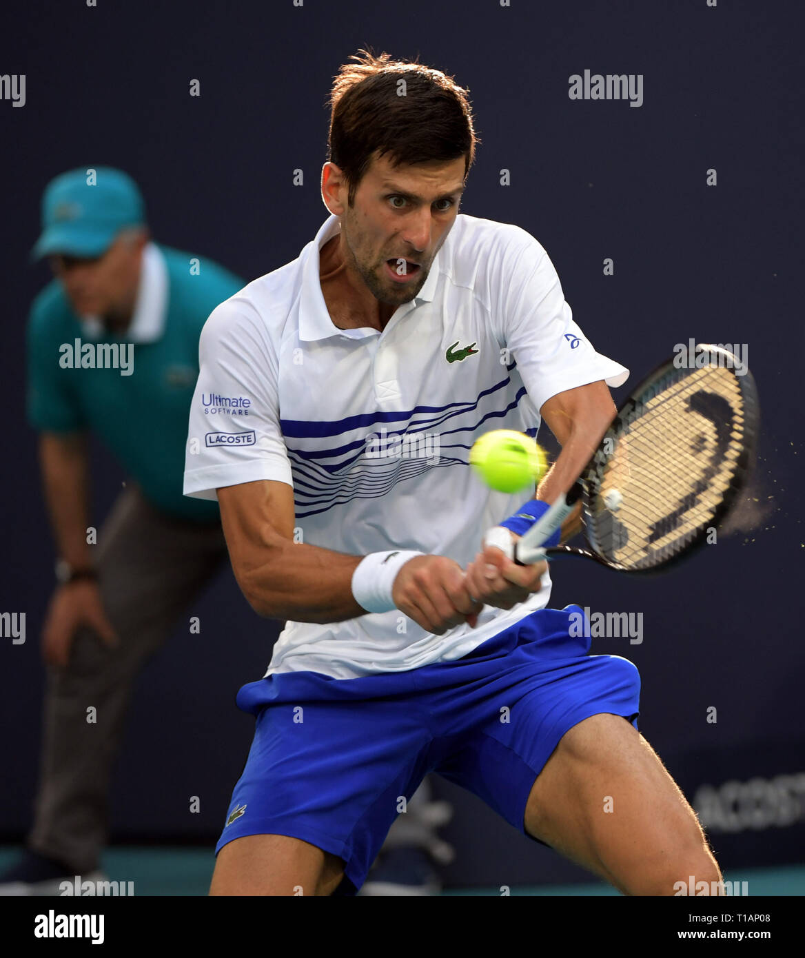 Giardini di Miami, Florida. Il 24 marzo 2019. Novak Djokovic di Serbia sconfigge Federico Delbonis di Argentina il giorno 7 del Miami Open presentato da Itau all'Hard Rock Stadium il 24 marzo 2019 nei giardini di Miami, Florida Persone: Novak Djokovic Foto Stock