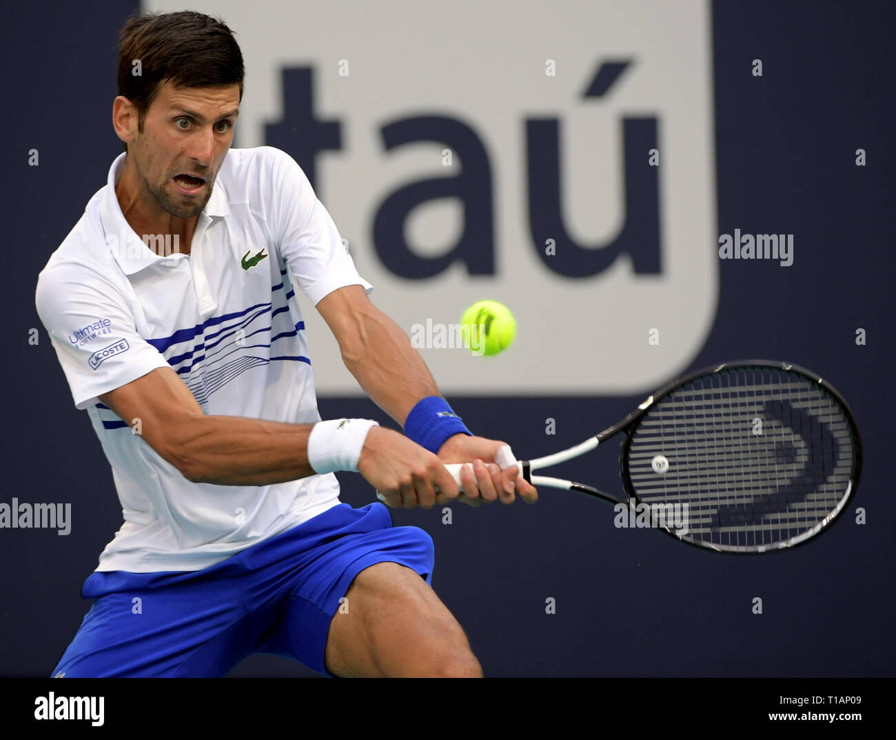 Giardini di Miami, Florida. Il 24 marzo 2019. Novak Djokovic di Serbia sconfigge Federico Delbonis di Argentina il giorno 7 del Miami Open presentato da Itau all'Hard Rock Stadium il 24 marzo 2019 nei giardini di Miami, Florida Persone: Novak Djokovic Foto Stock