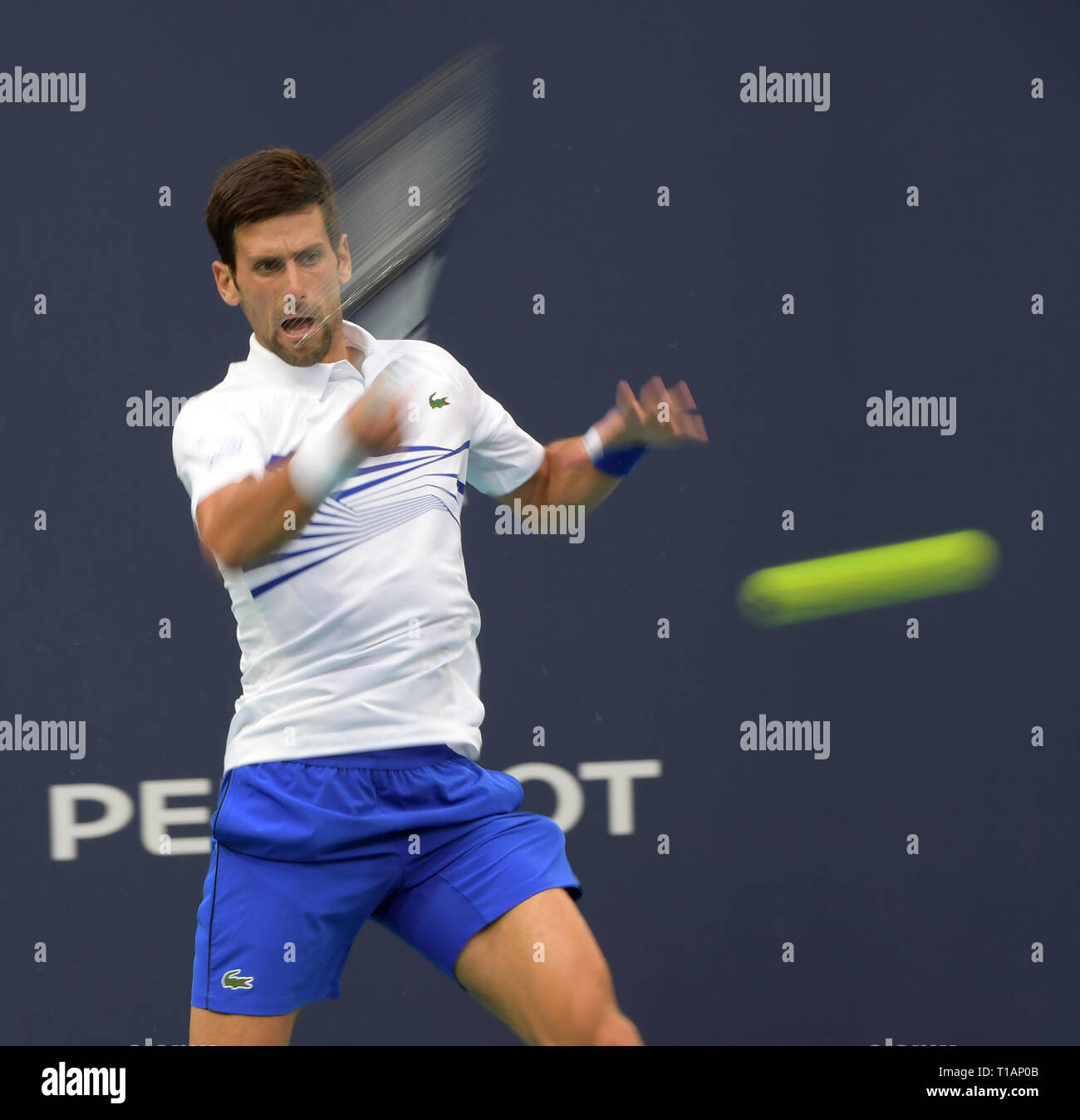 Giardini di Miami, Florida. Il 24 marzo 2019. Novak Djokovic di Serbia sconfigge Federico Delbonis di Argentina il giorno 7 del Miami Open presentato da Itau all'Hard Rock Stadium il 24 marzo 2019 nei giardini di Miami, Florida Persone: Novak Djokovic Foto Stock