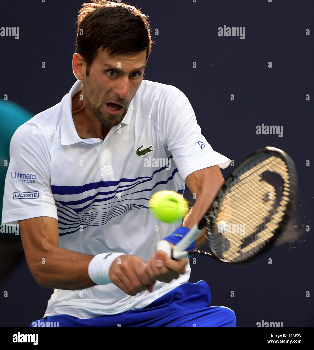 Giardini di Miami, Florida. Il 24 marzo 2019. Novak Djokovic di Serbia sconfigge Federico Delbonis di Argentina il giorno 7 del Miami Open presentato da Itau all'Hard Rock Stadium il 24 marzo 2019 nei giardini di Miami, Florida Persone: Novak Djokovic Foto Stock