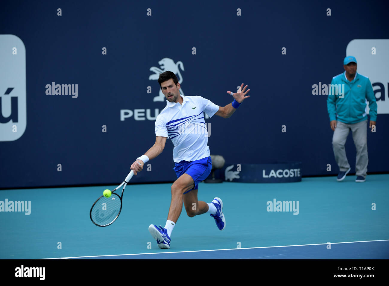 Giardini di Miami, Florida. Il 24 marzo 2019. Novak Djokovic di Serbia sconfigge Federico Delbonis di Argentina il giorno 7 del Miami Open presentato da Itau all'Hard Rock Stadium il 24 marzo 2019 nei giardini di Miami, Florida Persone: Novak Djokovic Foto Stock