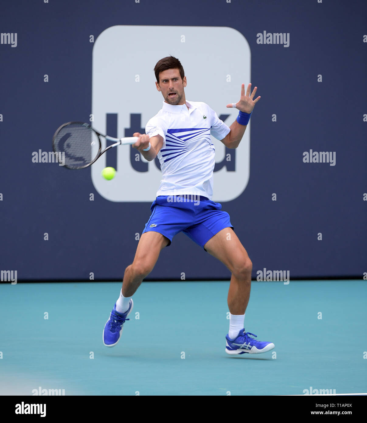 Giardini di Miami, Florida. Il 24 marzo 2019. Novak Djokovic di Serbia sconfigge Federico Delbonis di Argentina il giorno 7 del Miami Open presentato da Itau all'Hard Rock Stadium il 24 marzo 2019 nei giardini di Miami, Florida Persone: Novak Djokovic Foto Stock