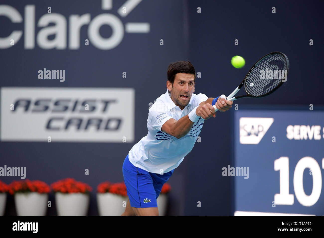 Giardini di Miami, Florida. Il 24 marzo 2019. Novak Djokovic di Serbia sconfigge Federico Delbonis di Argentina il giorno 7 del Miami Open presentato da Itau all'Hard Rock Stadium il 24 marzo 2019 nei giardini di Miami, Florida Persone: Novak Djokovic Foto Stock
