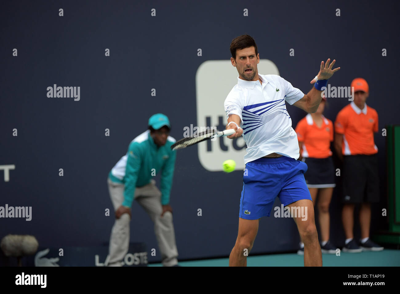 Giardini di Miami, Florida. Il 24 marzo 2019. Novak Djokovic di Serbia sconfigge Federico Delbonis di Argentina il giorno 7 del Miami Open presentato da Itau all'Hard Rock Stadium il 24 marzo 2019 nei giardini di Miami, Florida Persone: Novak Djokovic Foto Stock