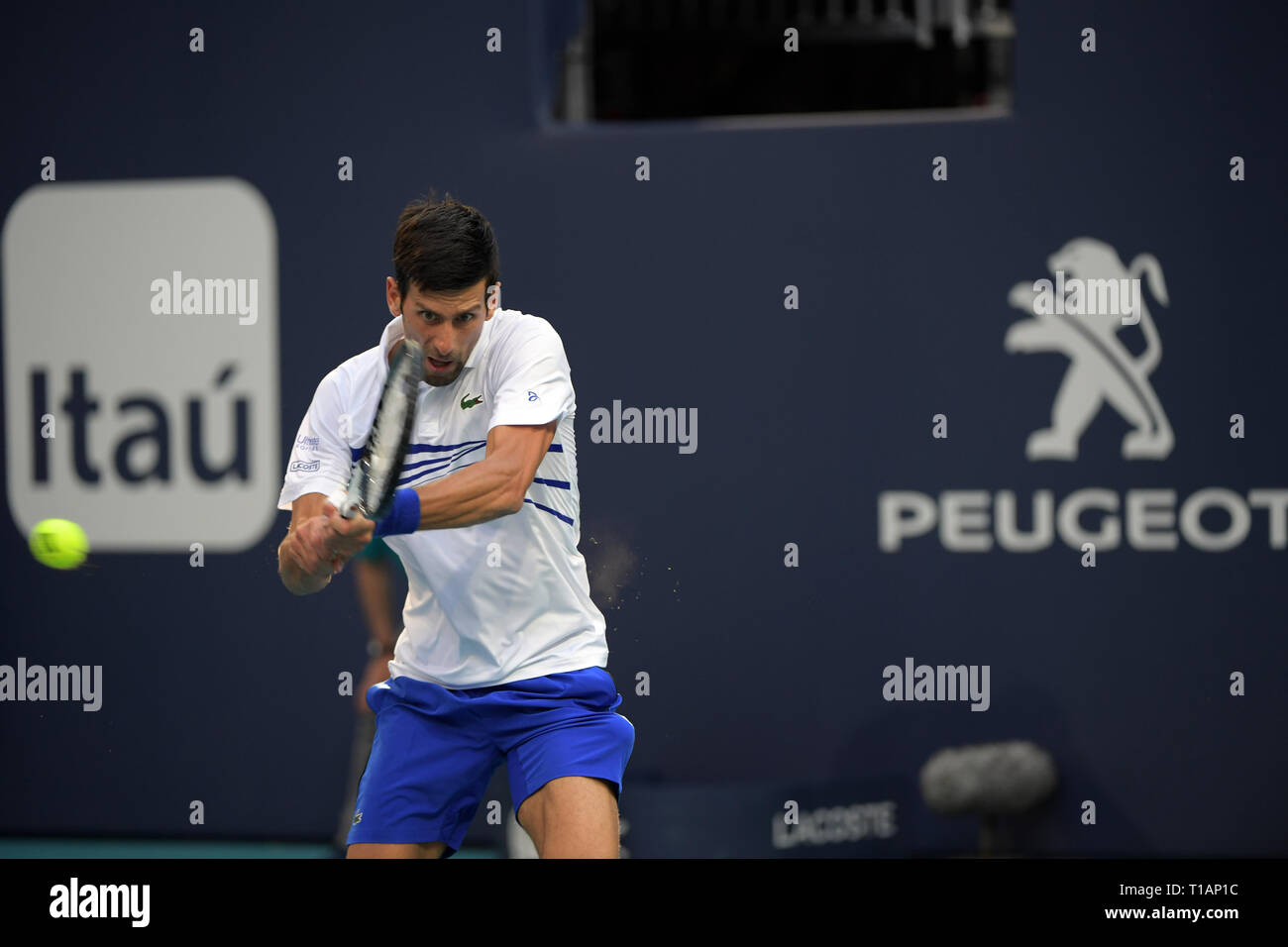 Giardini di Miami, Florida. Il 24 marzo 2019. Novak Djokovic di Serbia sconfigge Federico Delbonis di Argentina il giorno 7 del Miami Open presentato da Itau all'Hard Rock Stadium il 24 marzo 2019 nei giardini di Miami, Florida Persone: Novak Djokovic Foto Stock