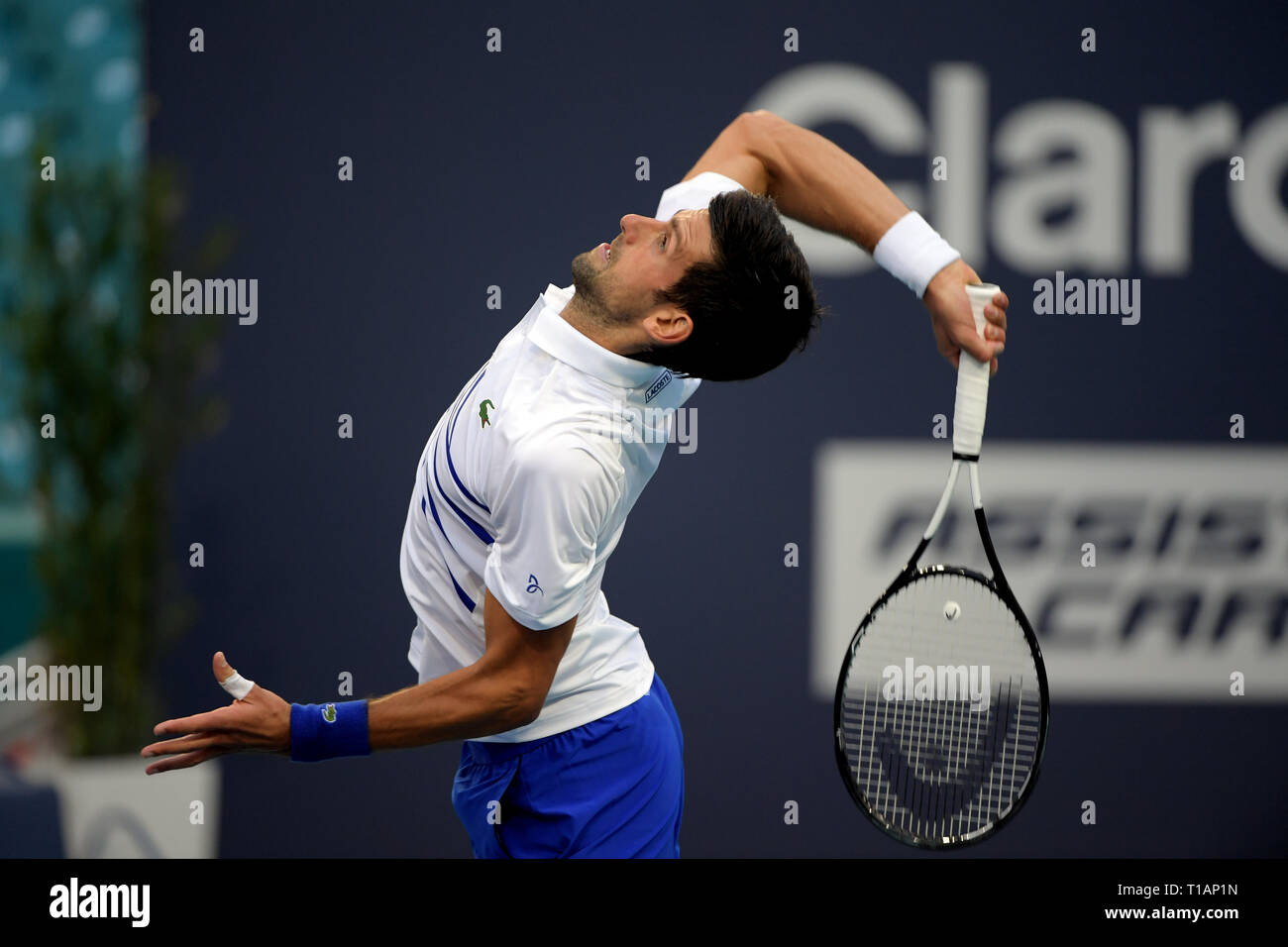 Giardini di Miami, Florida. Il 24 marzo 2019. Novak Djokovic di Serbia sconfigge Federico Delbonis di Argentina il giorno 7 del Miami Open presentato da Itau all'Hard Rock Stadium il 24 marzo 2019 nei giardini di Miami, Florida Persone: Novak Djokovic Foto Stock
