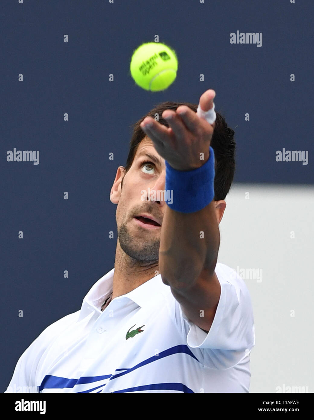 Giardini di Miami, FL, Stati Uniti d'America. 24 Mar, 2019. Novak Djokovic Vs Federico Delbonis sul Stadium corte durante il Miami Open svoltasi all'Hard Rock Stadium il 24 marzo 2019 nei giardini di Miami, Florida. Credito: Mpi04/media/punzone Alamy Live News Foto Stock