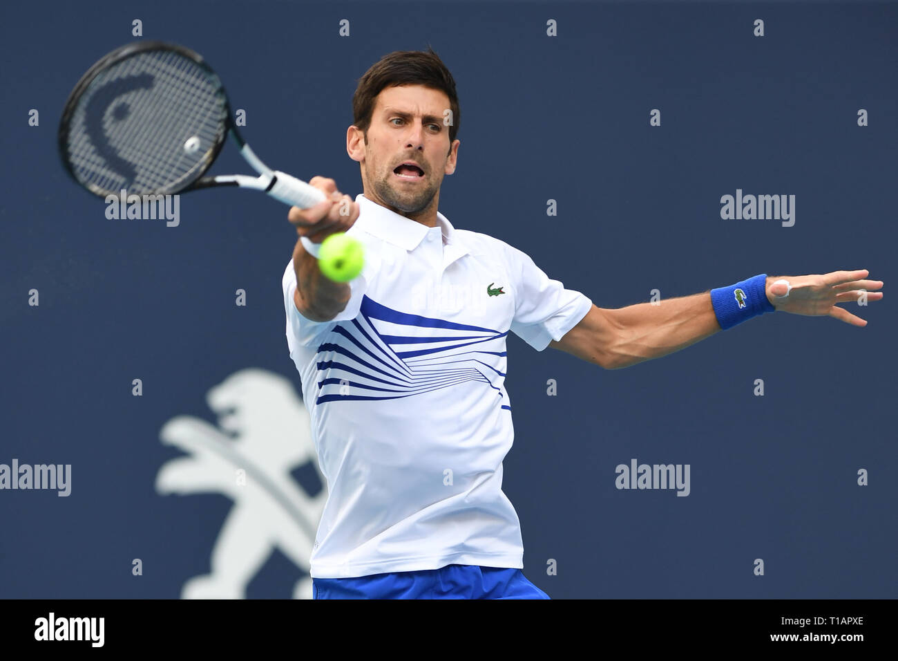 Giardini di Miami, FL, Stati Uniti d'America. 24 Mar, 2019. Novak Djokovic Vs Federico Delbonis sul Stadium corte durante il Miami Open svoltasi all'Hard Rock Stadium il 24 marzo 2019 nei giardini di Miami, Florida. Credito: Mpi04/media/punzone Alamy Live News Foto Stock