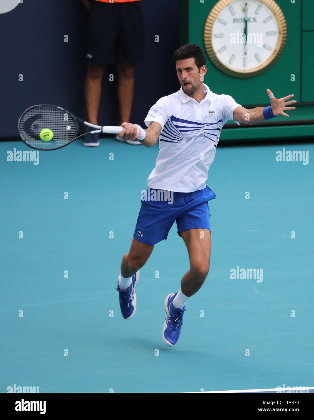 Giardini di Miami, Florida. Il 24 marzo 2019. Novak Djokovic il giorno 7 del Miami Open presentato da Itau all'Hard Rock Stadium il 24 marzo 2019 nei giardini di Miami, Florida Persone: Novak Djokovic Credito: tempeste Media Group/Alamy Live News Foto Stock