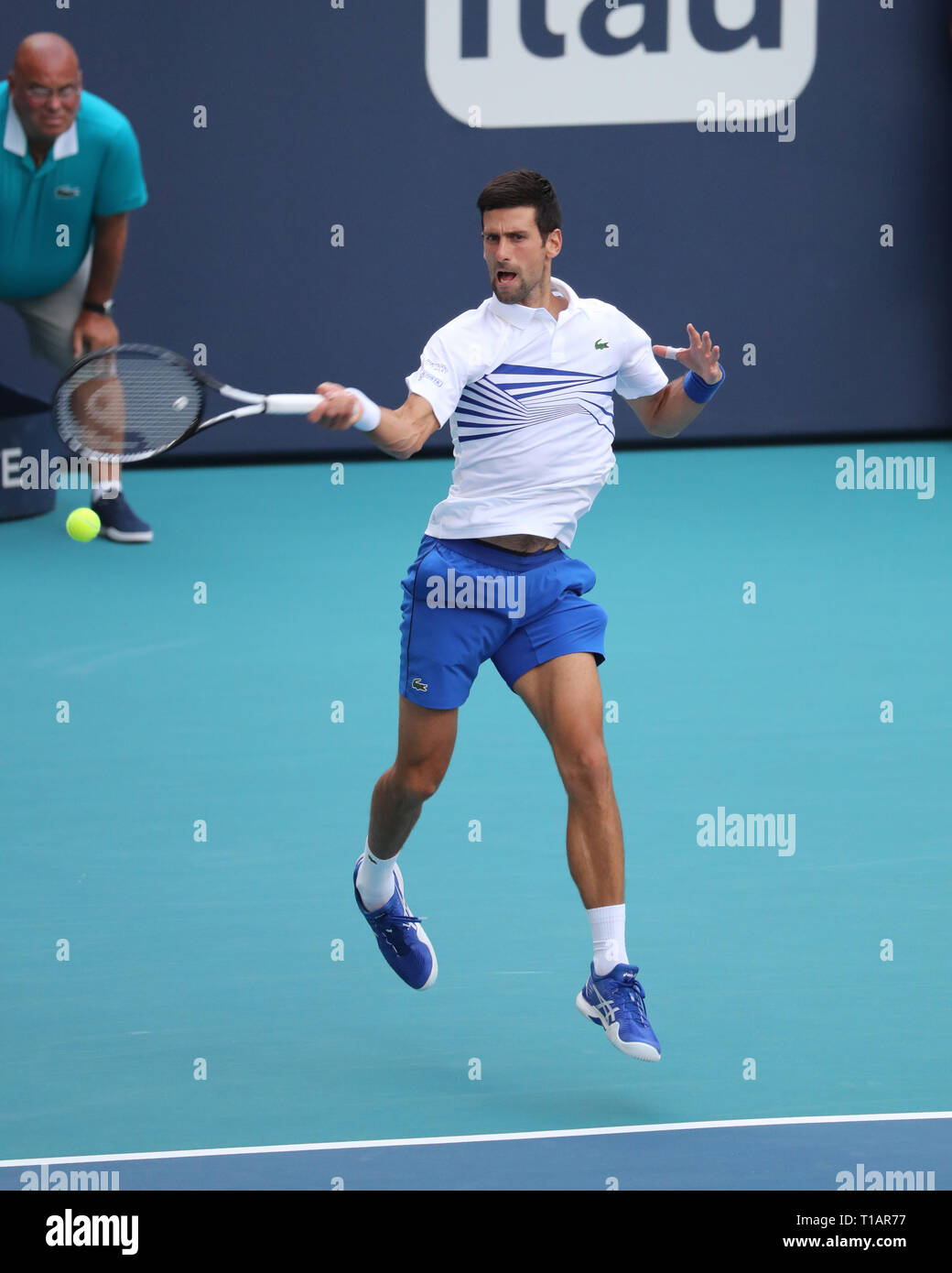 Giardini di Miami, Florida. Il 24 marzo 2019. Novak Djokovic il giorno 7 del Miami Open presentato da Itau all'Hard Rock Stadium il 24 marzo 2019 nei giardini di Miami, Florida Persone: Novak Djokovic Credito: tempeste Media Group/Alamy Live News Foto Stock