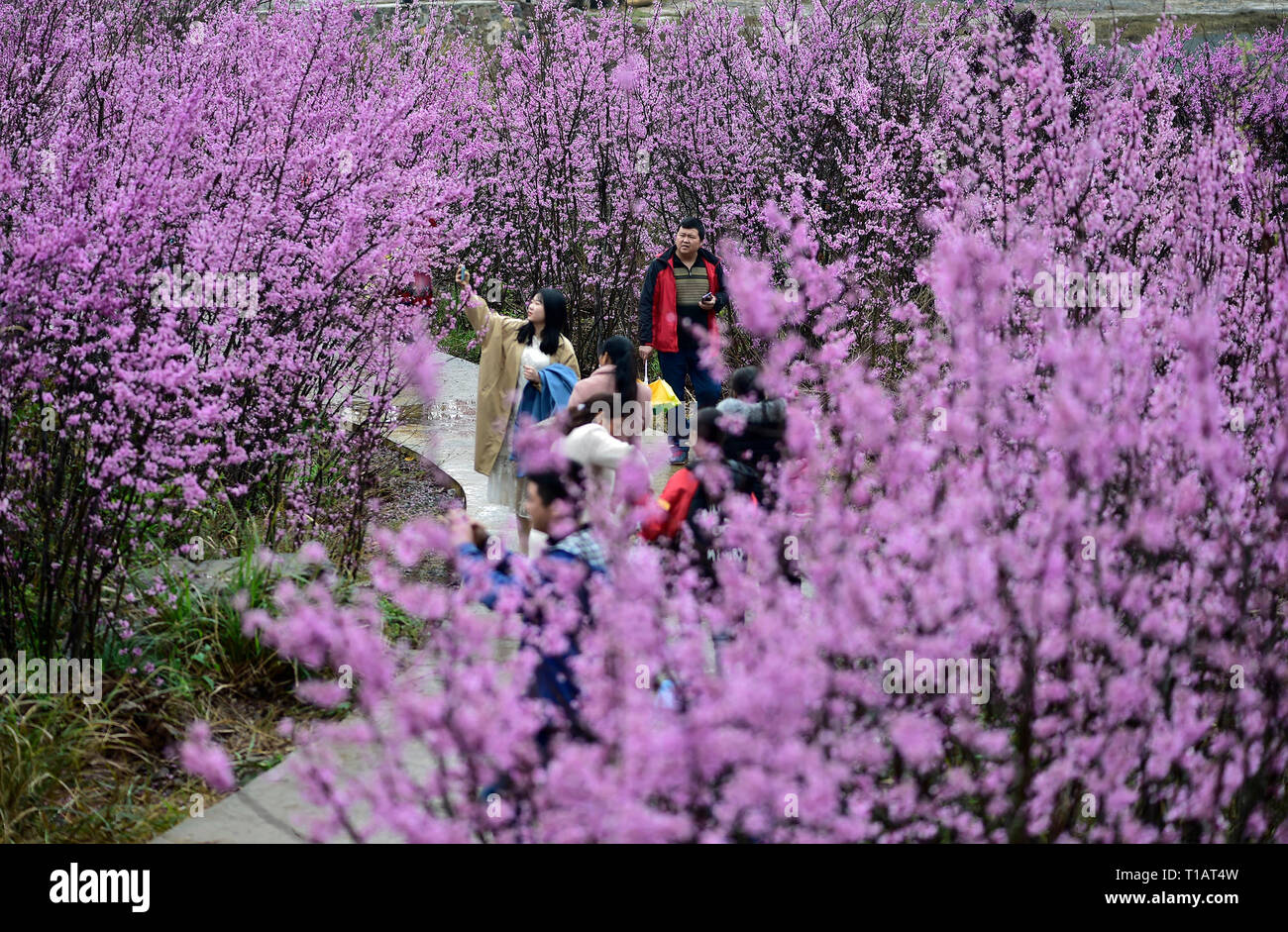 Contea di jiangyong immagini e fotografie stock ad alta risoluzione Alamy