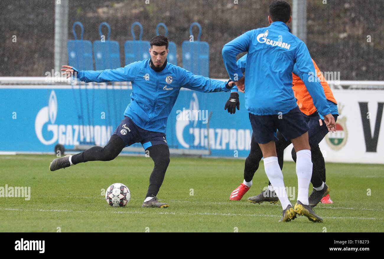 Firo: 25.03.2019, calcio, 2018/2019, 1.Bundesliga: FC Schalke 04 - Formazione Suat Serdar | Utilizzo di tutto il mondo Foto Stock