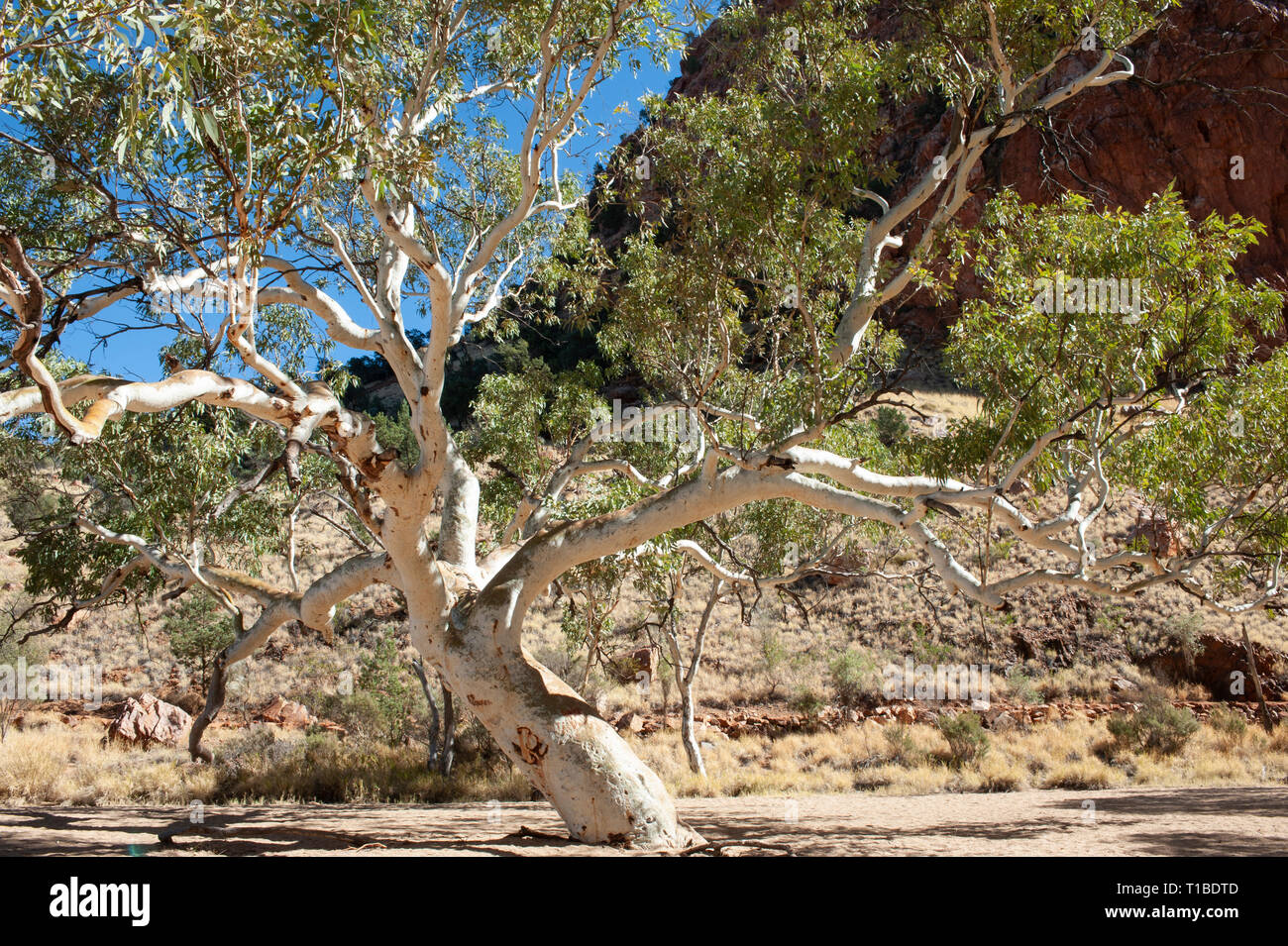 Simpsons Gap, Territorio del Nord, l'Australia Foto Stock