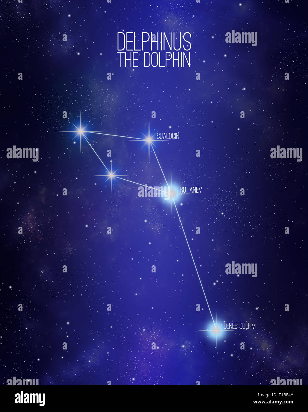 Delphinus la costellazione dolfin su un spazio stellato sfondo con i nomi dei suoi principali stelle. Foto Stock