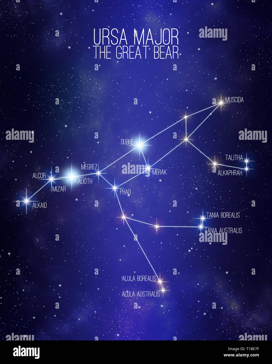 Orsa Maggiore il grande orso costellazione su un spazio stellato sfondo con i nomi dei suoi principali stelle. Dimensioni relative e diverse sfumature di colore base Foto Stock