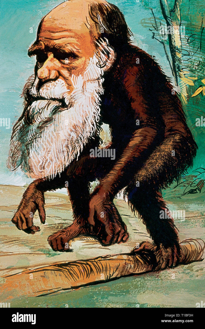 Robert Charles Darwin (1809-1882). Il naturalista britannico. Autore di origine delle specie, 1859. La caricatura di Darwin raffigurato come una scimmia. La pittura ad acquerello da Francisco Fonollosa, Spagnolo illustrator (fine del XX secolo). Foto Stock