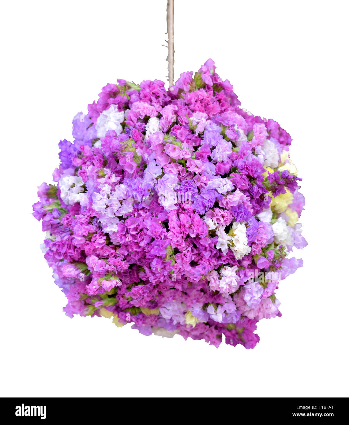 Forma sferica statice viola bouquet di fiori isolati su sfondo bianco, splendido design di appendere la sfera di fiori bouquet di forma decorativa per andare in Foto Stock