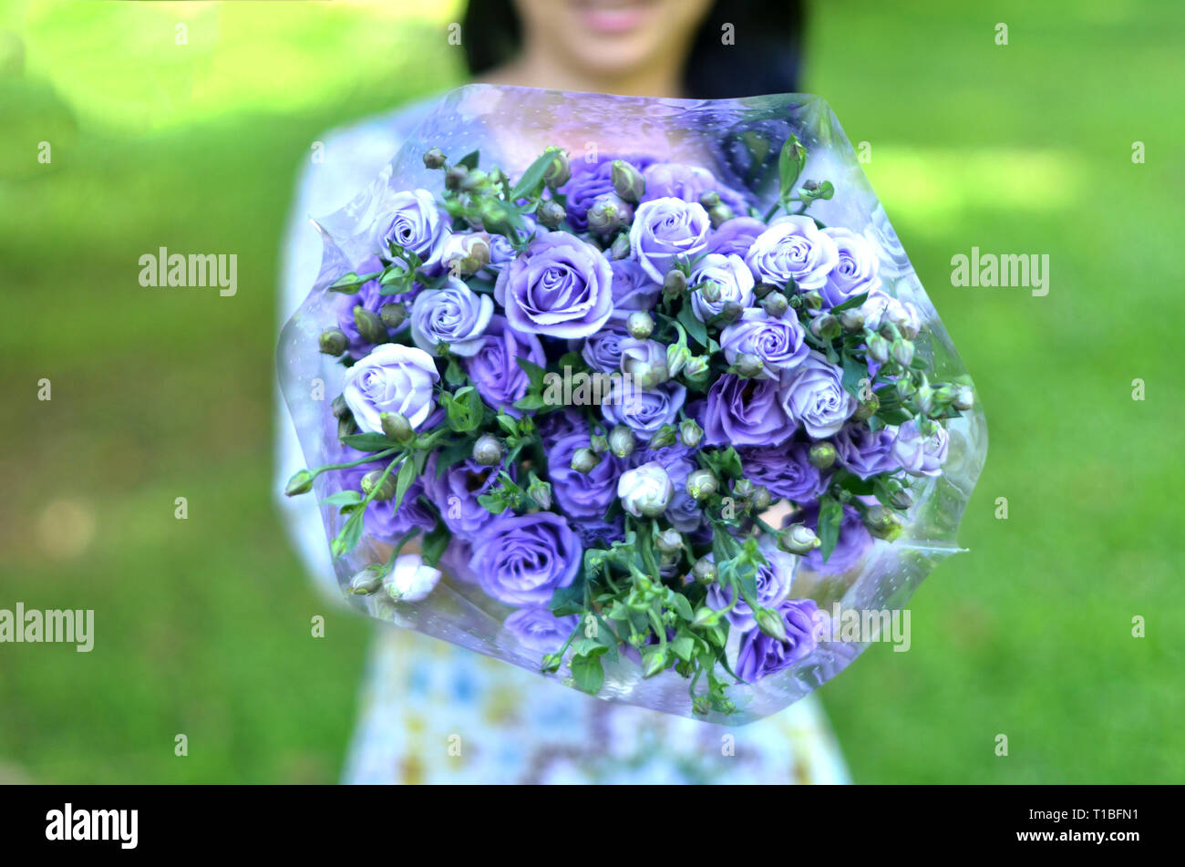 La sfocatura di immagine in amore ragazza mostra viola bouquet di rose, il giorno di san valentino regalo, amore confessioni da dare rose bouquet di fiori con felice sensazione, donna e lo Foto Stock