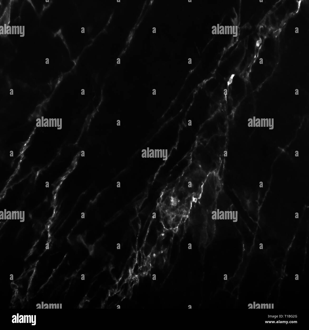 Texture di marmo sul marmo nero la superficie della piastrella, closeup foto sul marmo nero superficie di piastrelle sul pavimento in marmo presentano una texture di marmo in una piastrella, nero b Foto Stock