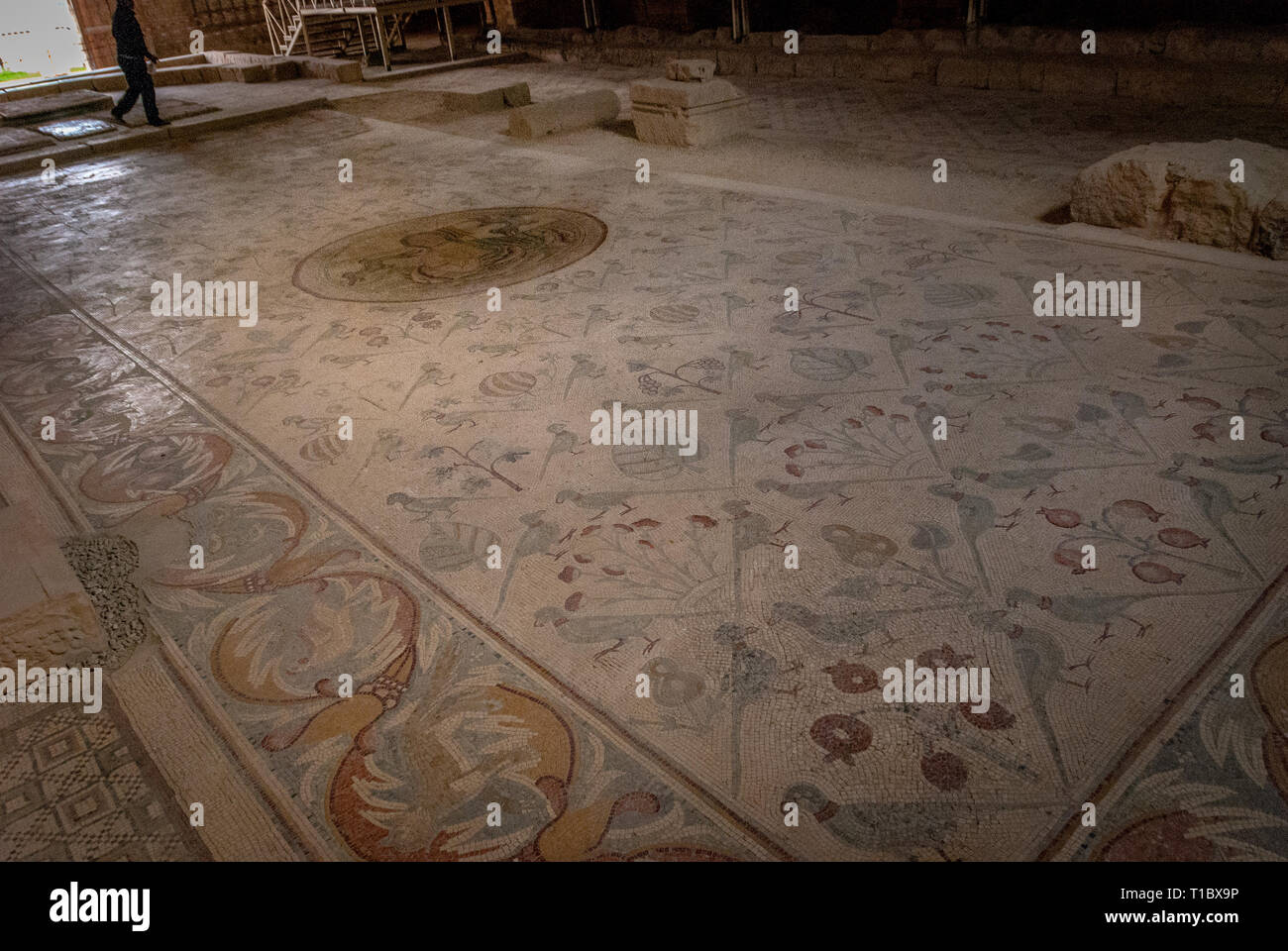 Mosaico nella Chiesa degli Apostoli (Madaba), Giordania Medio Oriente Foto Stock