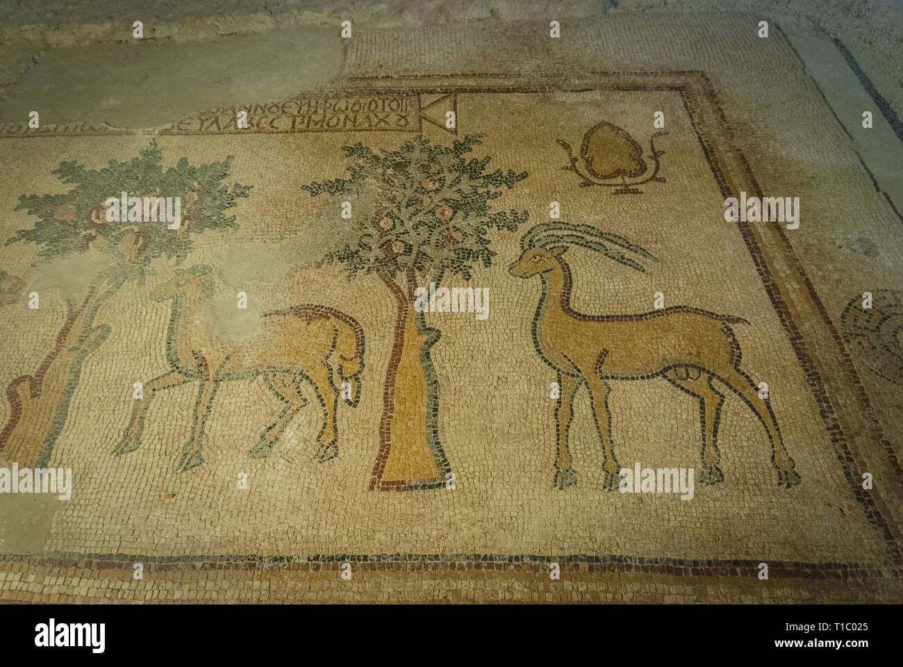 Mosaico nella Chiesa degli Apostoli (Madaba), Giordania Medio Oriente Foto Stock